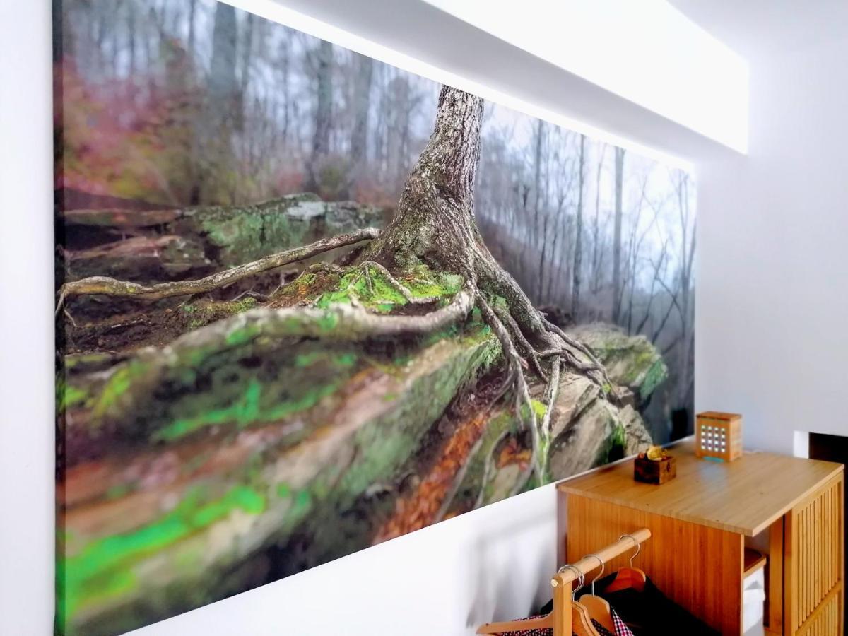Wooden Touch Studio Braşov Buitenkant foto
